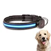best LED dog collar and dog leash light up in the night