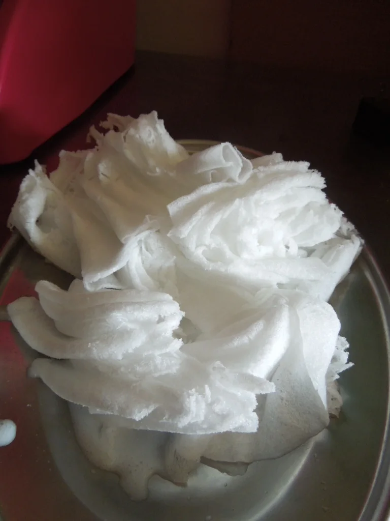 DSCN6407.JPG