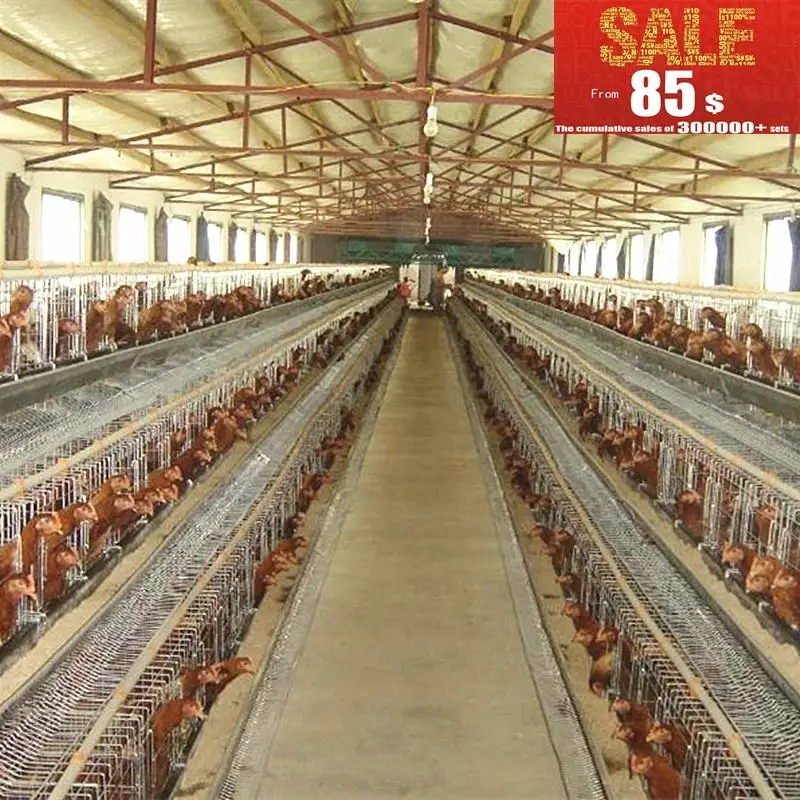 Poultry Farm In Tamil Nadu Buy Poultry Farm Design,Poultry Cages For Layer Chickens,Broiler