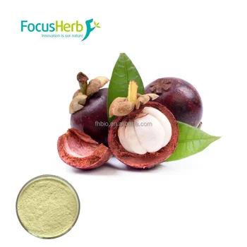 Focusherb Best Health Supplement Ingredients Mangosteen Peel