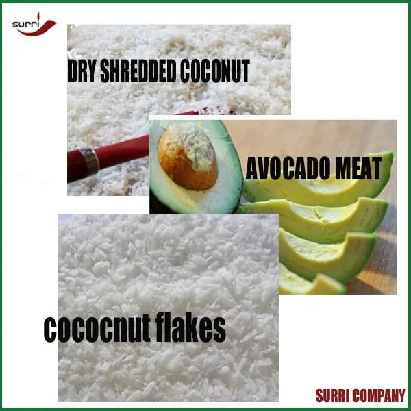SURRI 220 V Automatic Stainless Steel Coconut Oil Extraction Machine Free Shipping