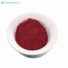 Factory supply CAS:1390-65-4 Carmine powder with lowest price