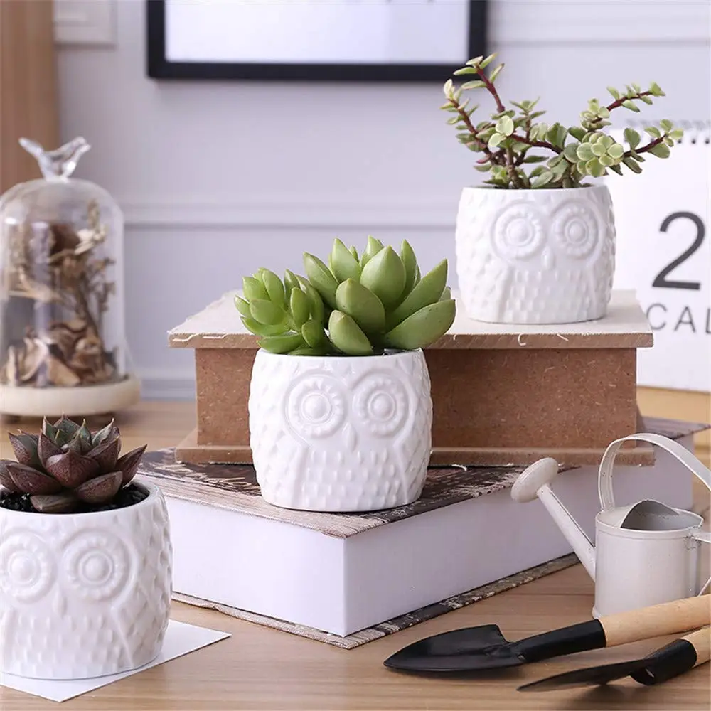 Buy Danmu 5pcs Owl Ceramic Succulent Cacti And Herbs Pots Home Office Garden Kitchen Window Sill Decor In Cheap Price On Alibaba Com