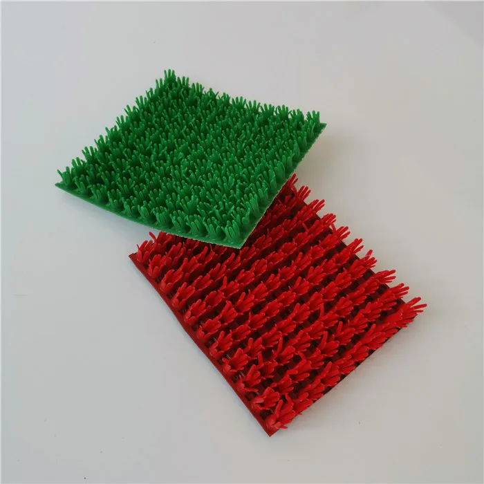 

cat kit feeding grass, Grey brown green red