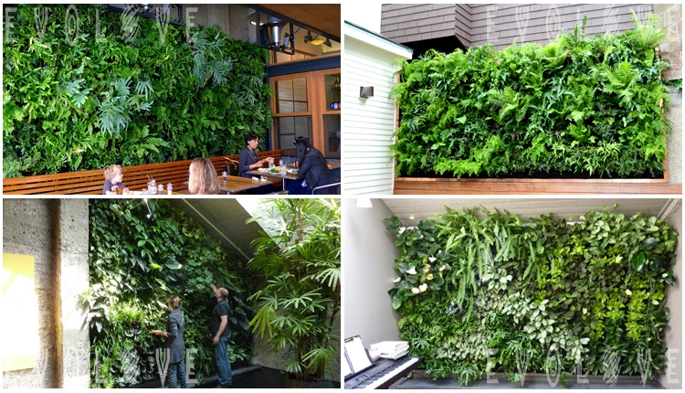self watering vertical garden