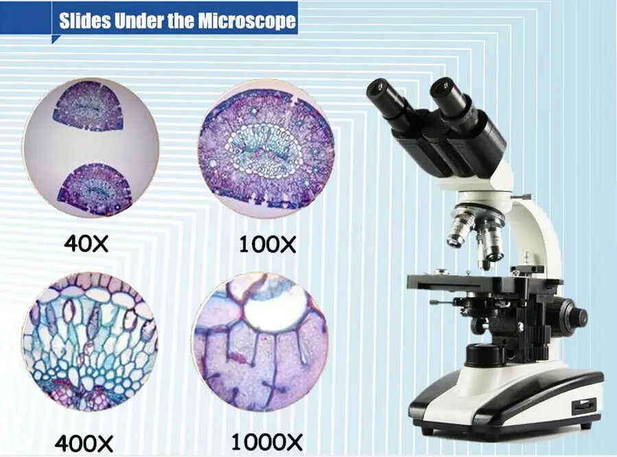 Iphone 400x microscope