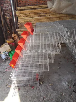 Quail Automatic Gravity Feeders For Quail Cage Buy Feeder Quail
