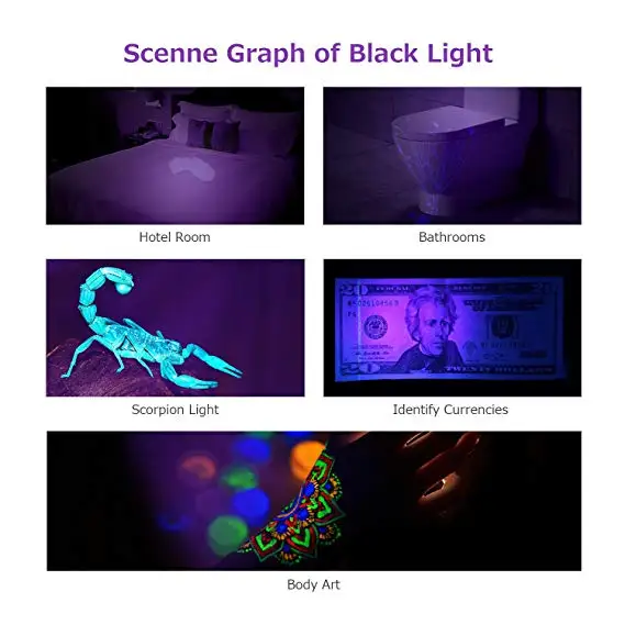 12 Led Uv ブラックライト懐中電灯とミニペット尿と汚れ検出器犬ベッドバグ懐中電灯 Buy Uv 懐中電灯 12led ブラックライト 懐中電灯 ミニペット尿と汚れ検出器 Product On Alibaba Com