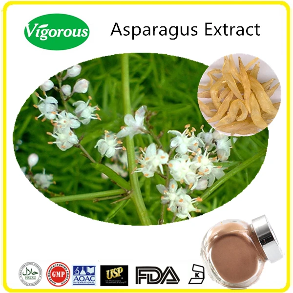 Kosher Asparagus Racemosus Root Extract Powder Buy Asparagus Root Extract,Asparagus Extract