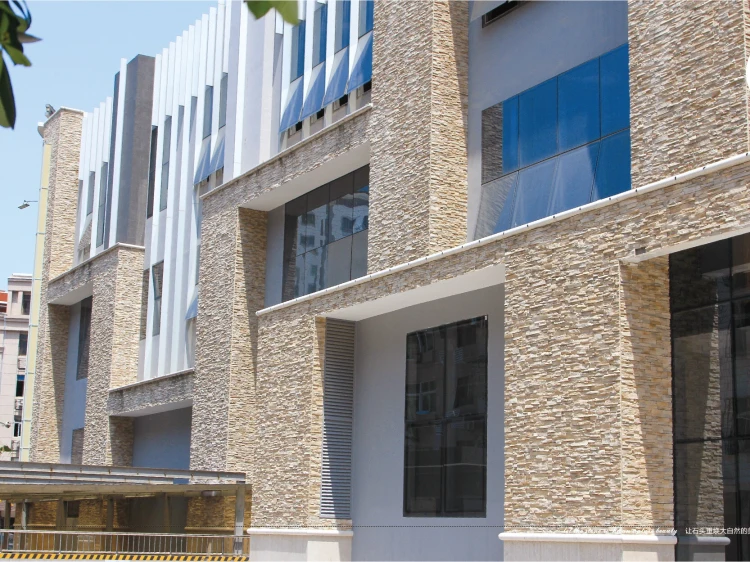 thin reef rock (1).jpg