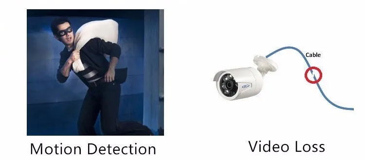 Motion deteciton and video loss.jpg
