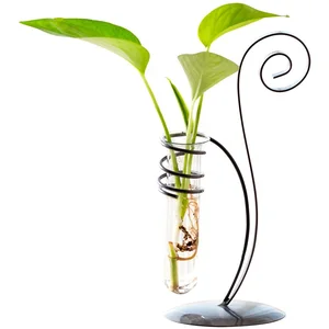 Image of Unique Hydroponic Plant Family Garden Decoration Clear Glass Test Tube Flower Vase
