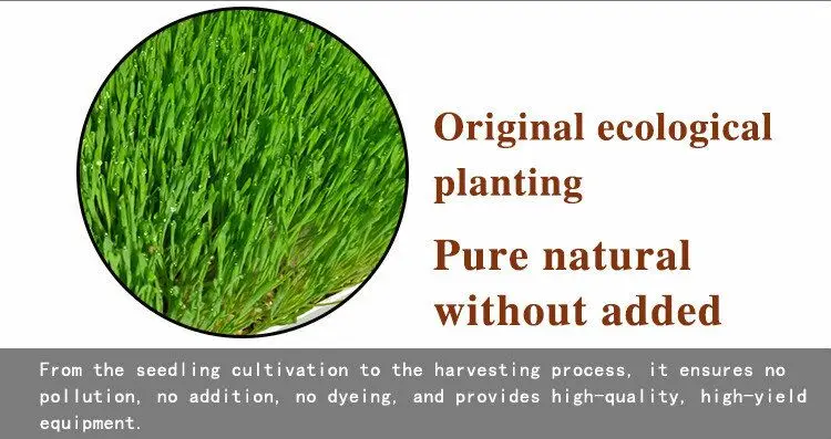 hydroponic fodder trays microgreen tray hydroponic equipment /hydroponic system