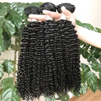 

Top Grade 10A Raw Indian Hair Unprocessed Virgin Jerry Curly Remy Human Hair Extensions