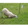 1.6m high Plastic Fenceing Pins Posts Stakes for Insulated Temporary Event Fencing