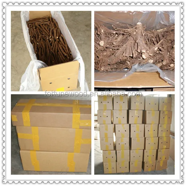 Grade A fast grow cold resistant high survive disinfection Paulownia Root Cutting