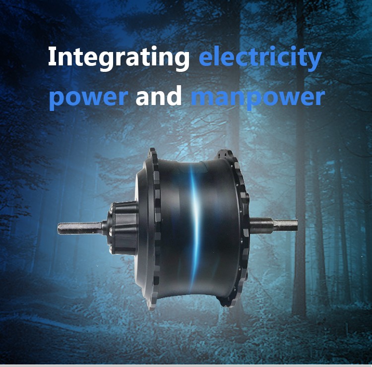36v 48v 500w 750w Geared High Torque Electric Bike Hub Motor For Fat