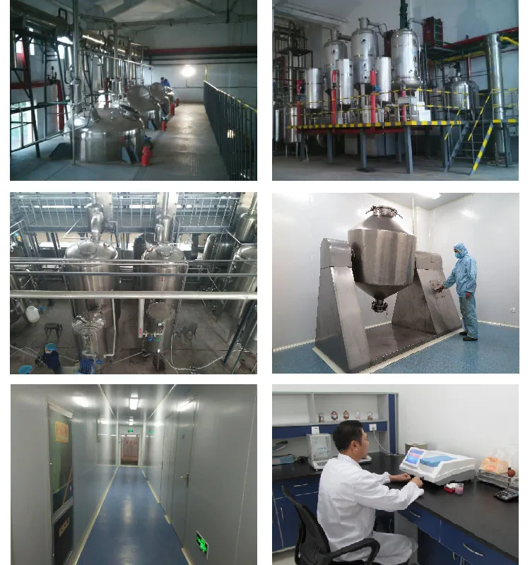 Pitaya extract-factory.jpg