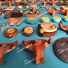 Anatomical Fertilization and Early Embryonic Development Models from Ovum to Fetus in the third mouth