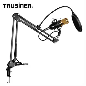 Professional Condenser Microphones Music Recording