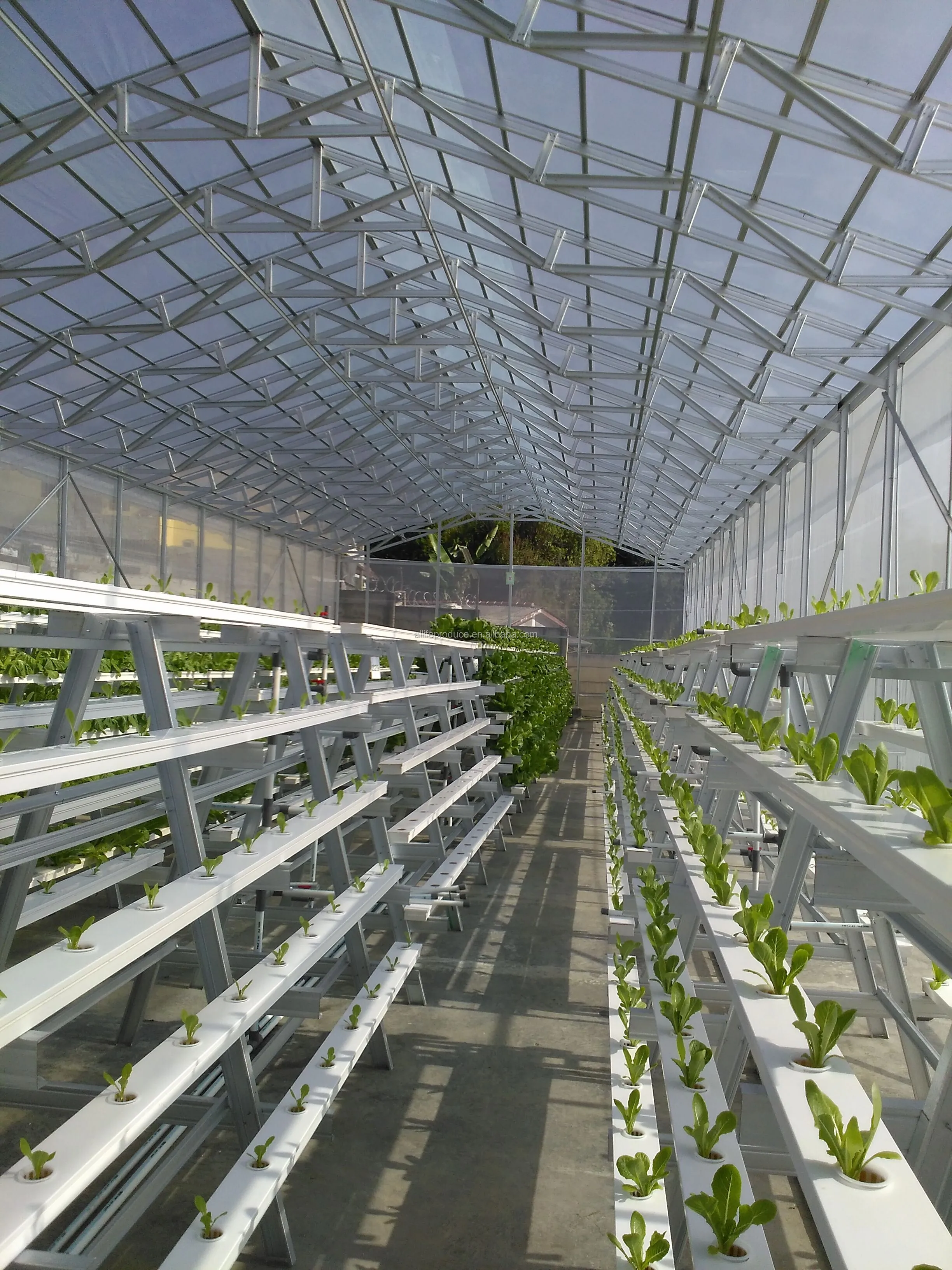 Plastic Pvc Pipe Hydroponic Nft Grow Gutter System For Greenhouse Buy