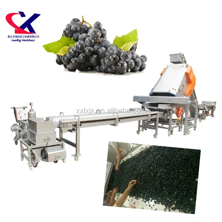 Leading Stainless Steel Grape Stemmed Machine To Remove Stem From Grape