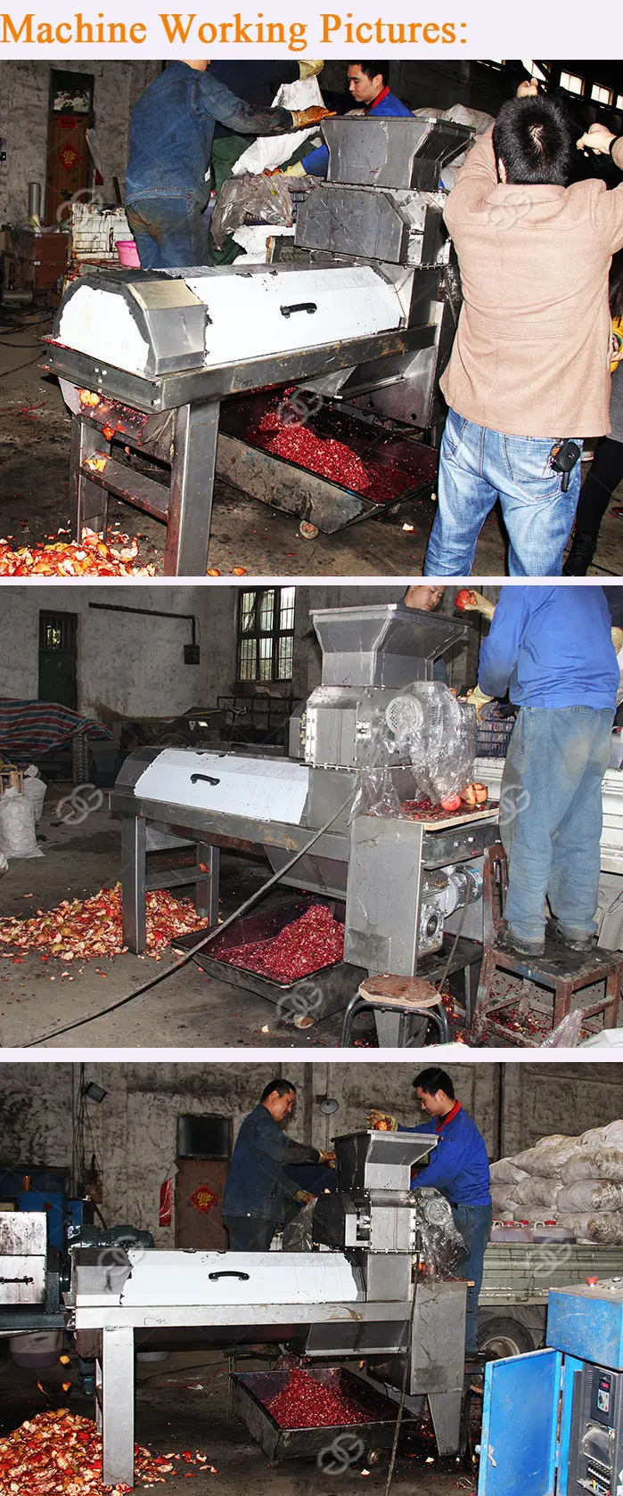 Professional Pomegranate Juice Processing Seeds Removing Skin Separator Peeling Seeding