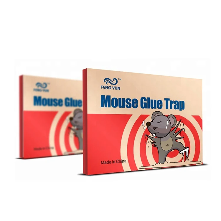 mouse  glue trap