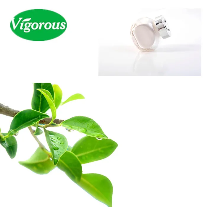 Green Tea L-Theanine