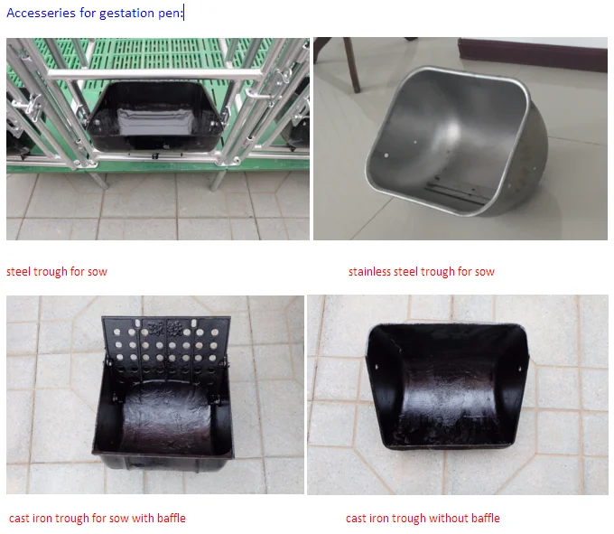 Pig Gestation Crates For Pig Farm Price In India For Sale Buy Gestation Crates Pig Gestation Crates Pig Farm Product On Alibaba Com