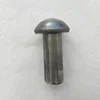 China Manufacturer Hot Sale High Quality Round Head Rivet