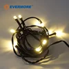EVERMORE Outdoor Weatherproof Connectable LED String Light Chain For Christmas Tree