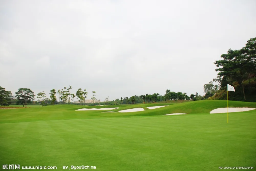 Nice Artificial Turf For Golf Court,And Astro Turf,Synthetic Grass For