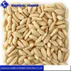 Brazil pine nuts Snacks for Export and Import Agents