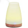 /product-detail/flower-atomizer-air-humidifier-baby-s-breath-aroma-diffuser-blue-color-100ml-60811583855.html