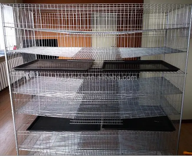 6 Layer 300 Quails Galvanized Wire Mesh Quail Cage Conforms With