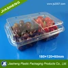 Clear Plastic Fresh Fruit box export packaging 2 compartment container