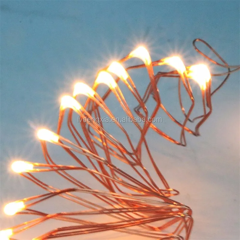Copper Wire Cr2032 Battery Operated Led String Light Buy Copper