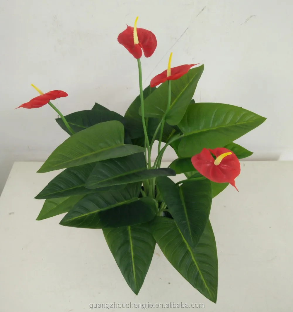 IMG20160831155621 750.jpg