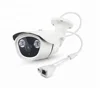 IP66 1/2.9 CMOS 2MP Metal Color High Quality Weatherproof Ir IP Color CCTV Camera PST-IPC113SL