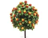 fake simulation Orange Tree Decorations Orange fruit trees plastic artificial orange tree