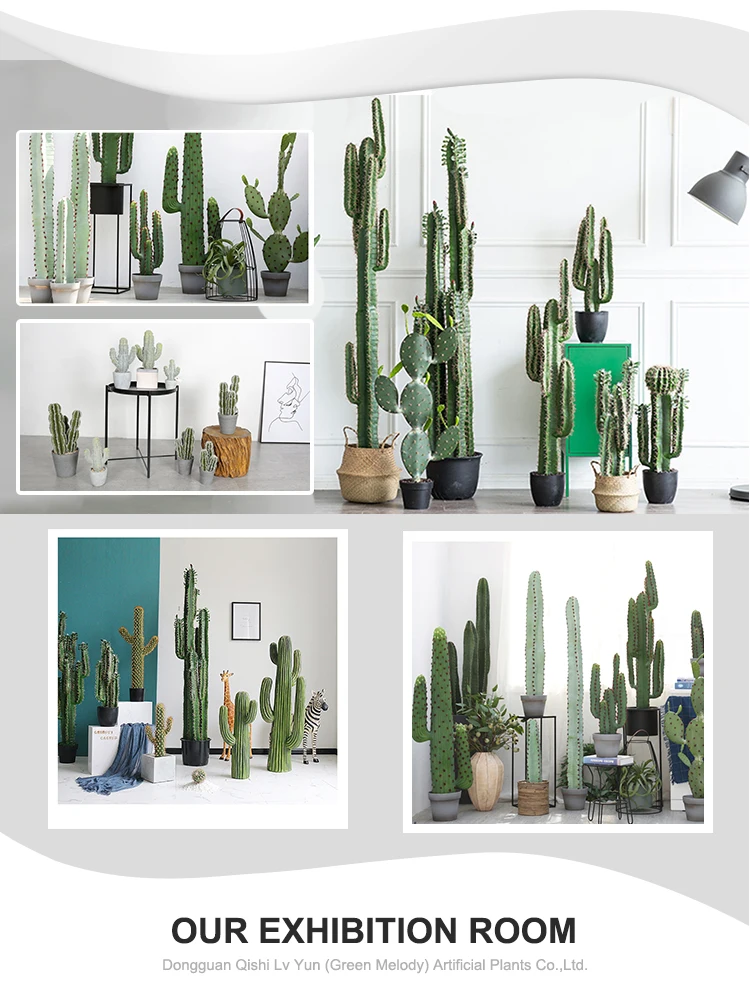 Plante Du Desert 105cm Cactus Miniature Realiste Nom Scientifique Cactus Decoration De Bureau Buy Cactus Et Plantes Succulentes Decoration De Bureau Bon Marche Decoration De Table De Bureau Product On Alibaba Com