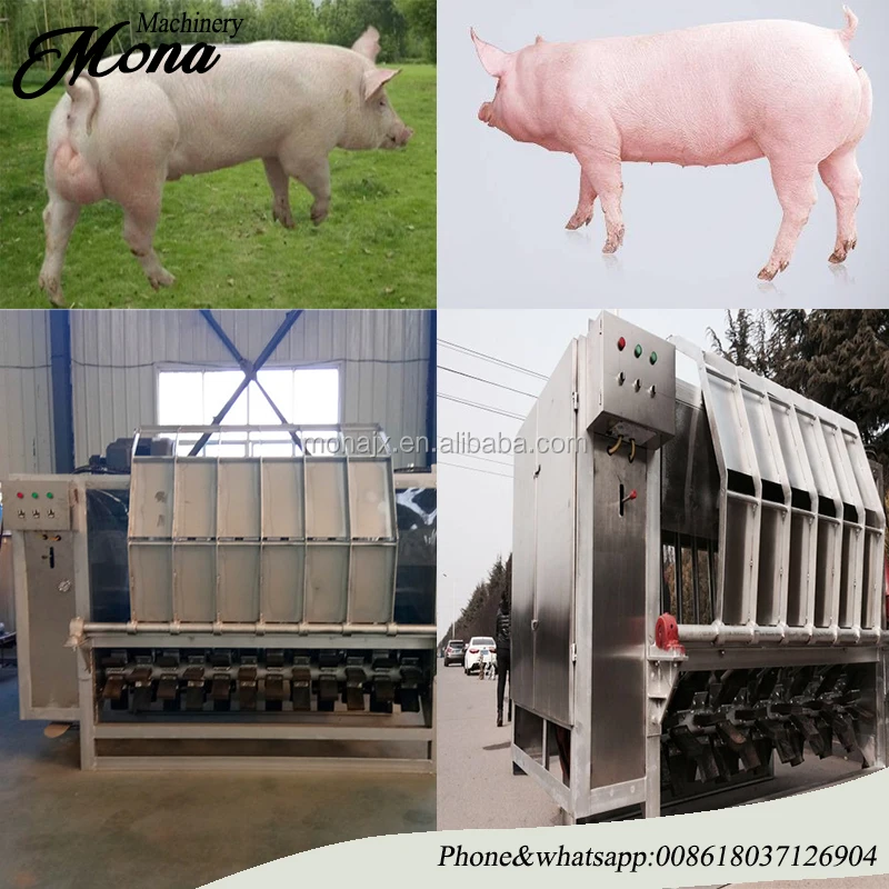 swine dehairer (2).jpg