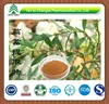 GMP factory supply Hot sale high quality Electronic Cigarette common knotgrass herb extract