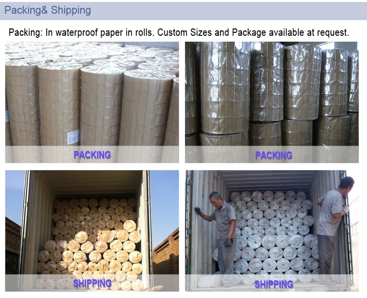 Hot Dipped Galvanized Welded Wire Mesh From Anping