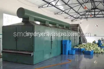 
DW Series Mesh-Belt Drying machine for drying piece of banana 