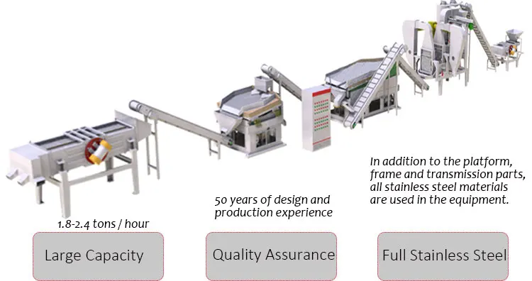 grapes production line (2).jpg