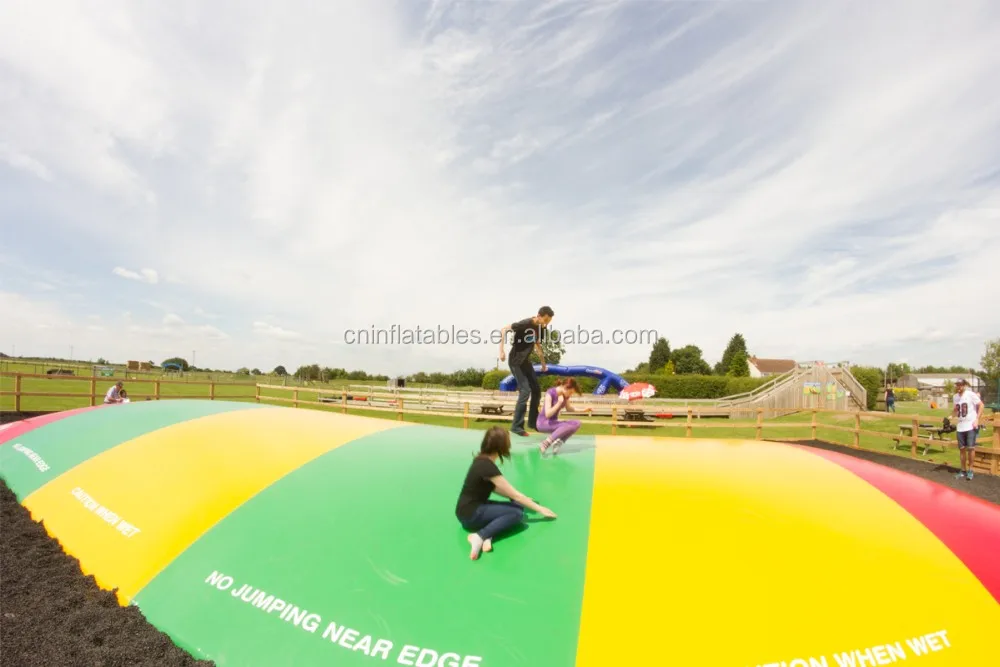 High Quality Inflatable Kangaroo Jumper / Jump Pillow For Kids And