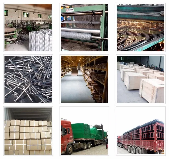 size BWG6- BWG18  1 kg 10kgs 25kgs Prices per kg polished flat head common round wire steel iron nails / umbrella roofing nails