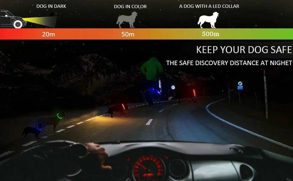 LED Dog Collar (15).jpg